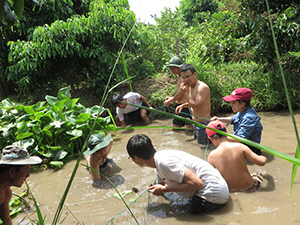 Chuyến dã ngoại mùa hè 2016