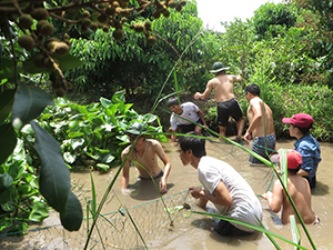 Chuyến dã ngoại mùa hè 2016